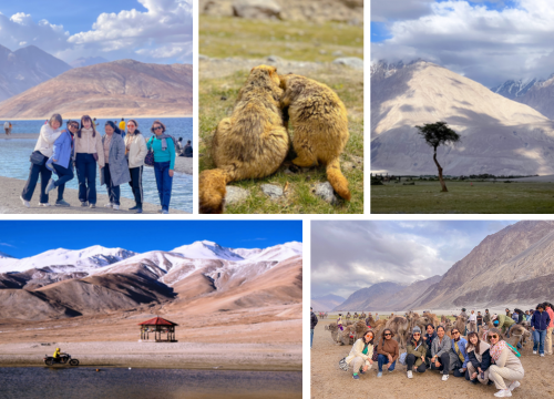 Ladakh - Land of Lamas (7N8D)